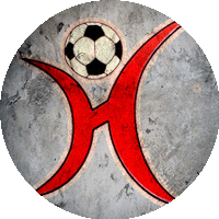 Logo VV Holwierde
