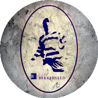 Logo RKSV Bekkerveld
