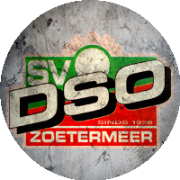 Logo SV DSO