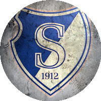 Logo IJVV Stormvogels