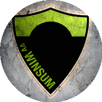 Logo VV Winsum