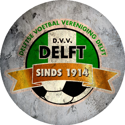 Logo DVV Delft