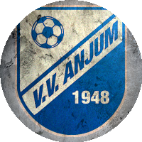 Logo VV Anjum