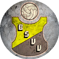 Logo BSVV