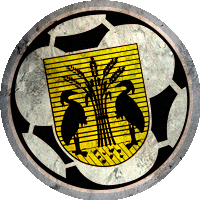 Logo VV Reiger Boys