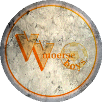 Logo VV Moerse Boys