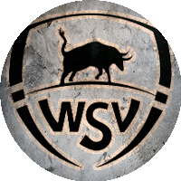 Logo WSV Apeldoorn