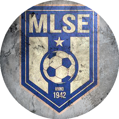 Logo Martfűi LSE