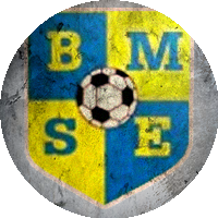 Logo Budakalászi MSE