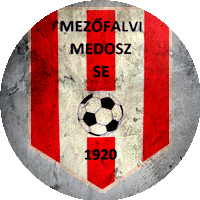 Logo Mezőfalva MSE