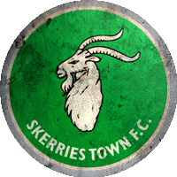 Logo Skerries Town FC