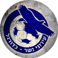 Logo Ironi Nesher