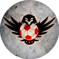 Logo Football Club Tseirey Tamra