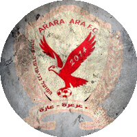 Logo Hapoel Bnei Ar'ara - Ara