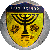 Logo Hapoel Ironi Bnot Karmiel