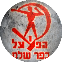 Logo Hapoel Kfar Shalem