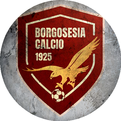 Logo Borgosesia Calcio