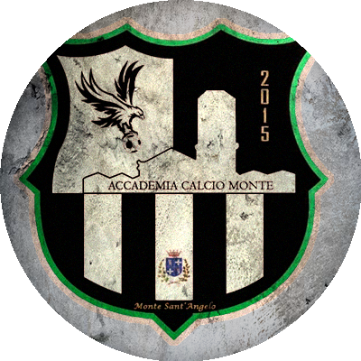 Logo Accademia Calcio Monte