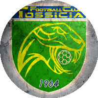 Logo Tossicia '21