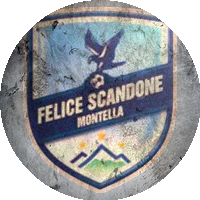 Logo Felice Scandone