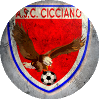 Logo Cicciano Calcio