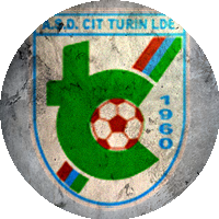 Logo Cit Turin Luciano Domenico Esedra