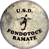 Logo Fondotoce (VB)