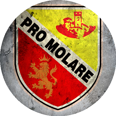 Logo Pro Molare