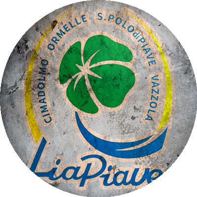 Logo Liapiave