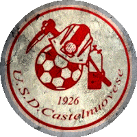 Logo Castelnuovese (AR)