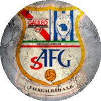 Logo FalkGalileo