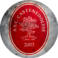 Logo Castenedolese