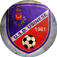 Logo Usinese