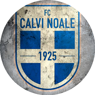 Logo Calvi Noale