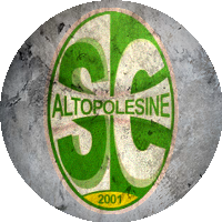 Logo Altopolesine