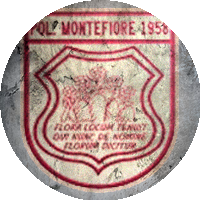 Logo Polisportiva Montefiore
