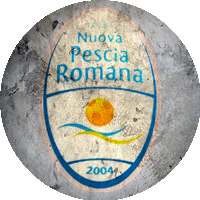 Logo Nuova Pescia Romana 2004