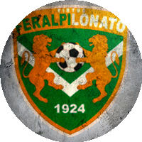 Logo Virtus Feralpi Lonato