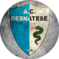 Logo Besnatese