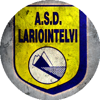 Logo Lariointelvi