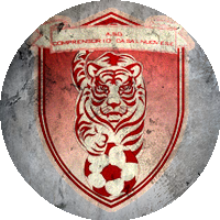 Logo K-Team Casalnuovo