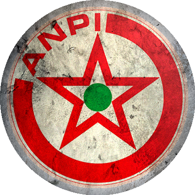 Logo A.N.P.I. Sport E. Casassa