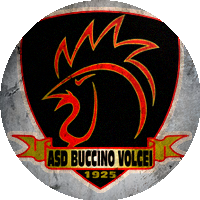 Logo Buccino Volcei