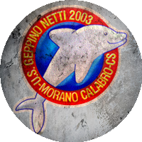 Logo Geppino Netti