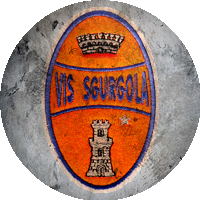 Logo Vis Sgurgola Calcio