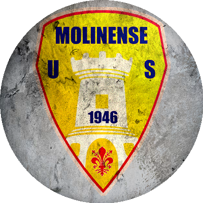Logo Molinense