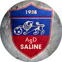 Logo Saline