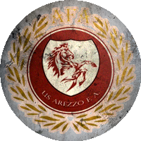 Logo Arezzo Football Academy