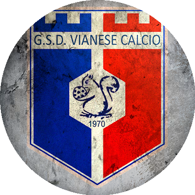 Logo Vianese Calcio