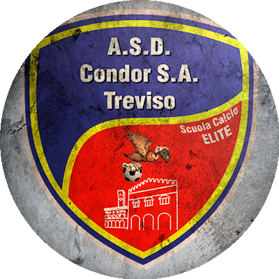 Logo Condor Treviso